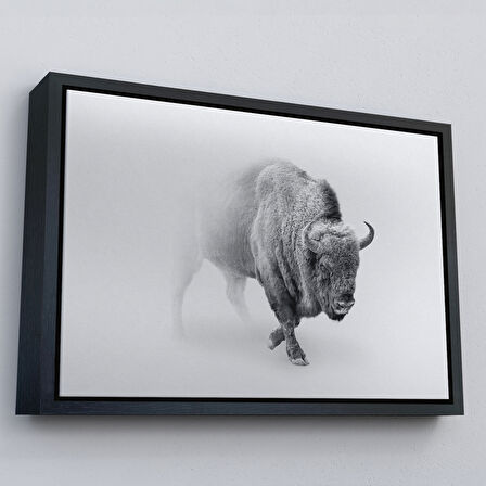 Siyah Çerçeveli Bizon Dekoratif Kanvas Tablo