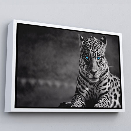 Beyaz Çerçeveli Mavi Gözlü Leopar Dekoratif Kanvas Tablo