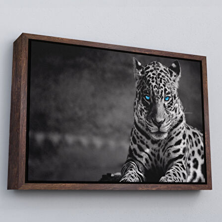 Beyaz Çerçeveli Mavi Gözlü Leopar Dekoratif Kanvas Tablo