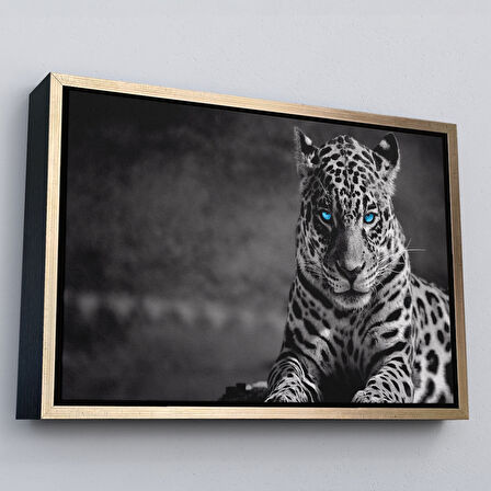 Beyaz Çerçeveli Mavi Gözlü Leopar Dekoratif Kanvas Tablo