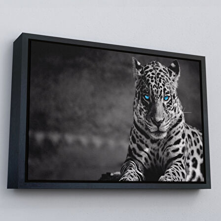 Beyaz Çerçeveli Mavi Gözlü Leopar Dekoratif Kanvas Tablo