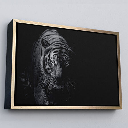 Beyaz Çerçeveli Kaplan Dekoratif Kanvas Tablo