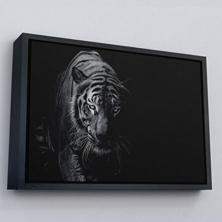 Siyah Çerçeveli Kaplan Dekoratif Kanvas Tablo