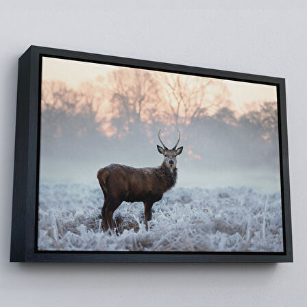 Altın Çerçeveli Geyik Dekoratif Kanvas Tablo