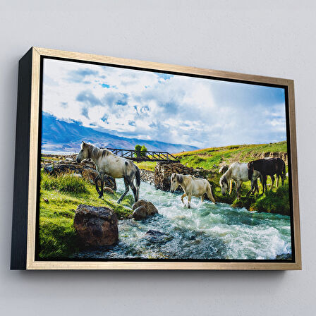 Altın Çerçeveli Dereden Geçen Atlar Manzaralı Dekoratif Kanvas Tablo