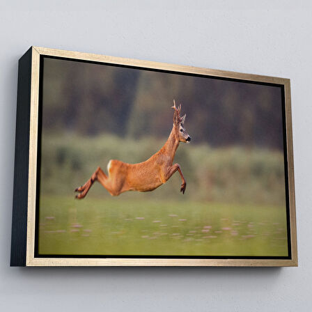 Altın Çerçeveli Koşan Geyik Dekoratif Kanvas Tablo