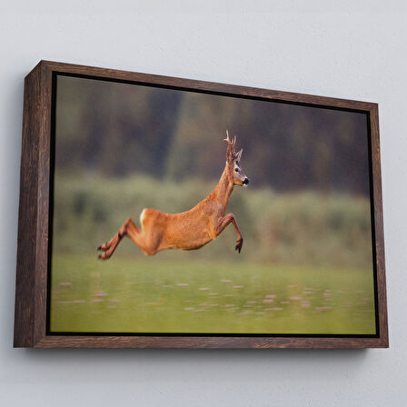 Altın Çerçeveli Koşan Geyik Dekoratif Kanvas Tablo