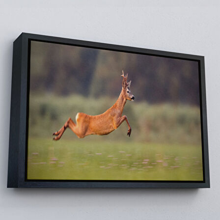 Siyah Çerçeveli Koşan Geyik Dekoratif Kanvas Tablo