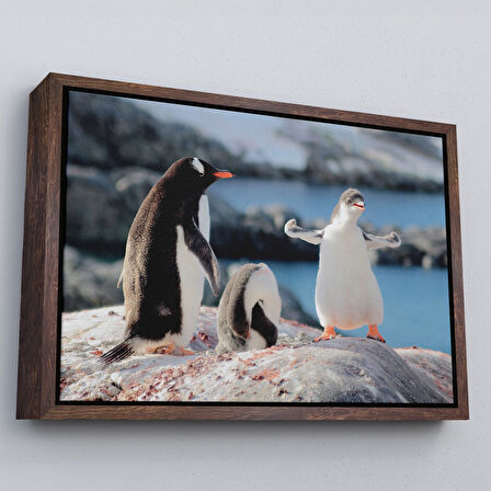 Beyaz Çerçeveli Mutlu Penguenler Dekoratif Kanvas Tablo