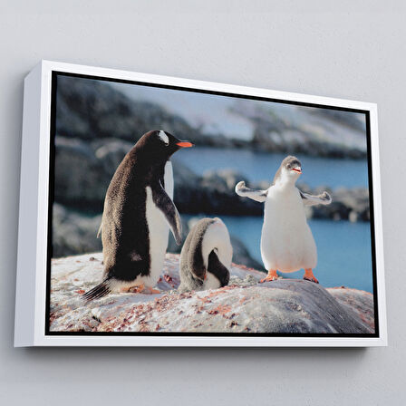 Siyah Çerçeveli Mutlu Penguenler Dekoratif Kanvas Tablo