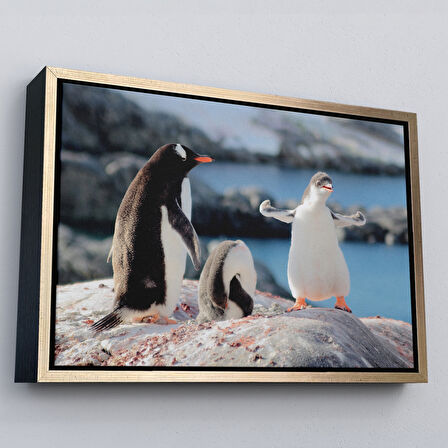 Siyah Çerçeveli Mutlu Penguenler Dekoratif Kanvas Tablo