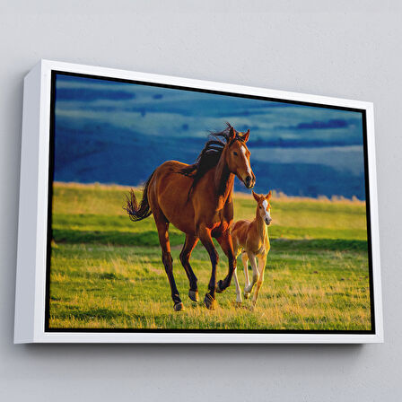 Beyaz Çerçeveli At ve Tay Manzaralı Dekoratif Kanvas Tablo