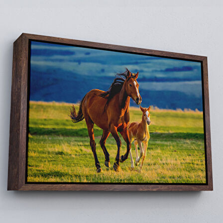 Beyaz Çerçeveli At ve Tay Manzaralı Dekoratif Kanvas Tablo