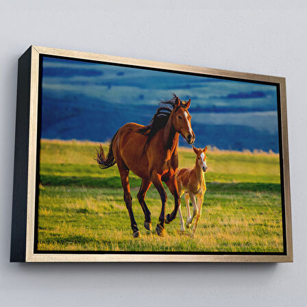 Beyaz Çerçeveli At ve Tay Manzaralı Dekoratif Kanvas Tablo