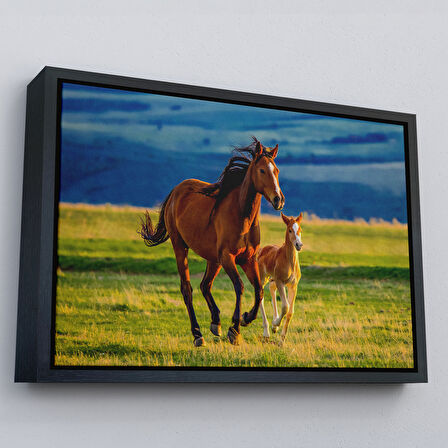 Beyaz Çerçeveli At ve Tay Manzaralı Dekoratif Kanvas Tablo