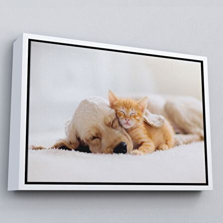 Siyah Çerçeveli Golden Köpek İle Uyuyan Yavru Kedi Dekoratif Kanvas Tablo