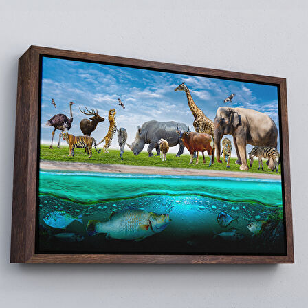 Beyaz Çerçeveli Hayvanlar Alemi Dekoratif Kanvas Tablo