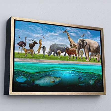 Beyaz Çerçeveli Hayvanlar Alemi Dekoratif Kanvas Tablo