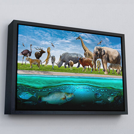 Beyaz Çerçeveli Hayvanlar Alemi Dekoratif Kanvas Tablo