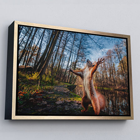 Kahverengi Çerçeveli Sincap Dekoratif Kanvas Tablo