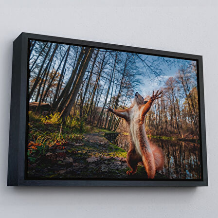 Kahverengi Çerçeveli Sincap Dekoratif Kanvas Tablo