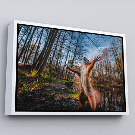 Kahverengi Çerçeveli Sincap Dekoratif Kanvas Tablo