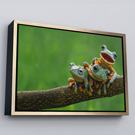 Kahverengi Çerçeveli Küçük Kurbağalar Dekoratif Kanvas Tablo
