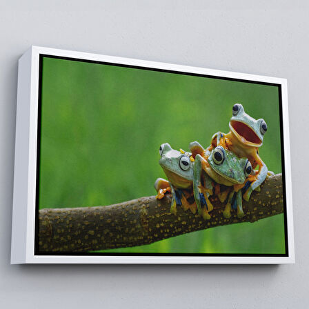 Kahverengi Çerçeveli Küçük Kurbağalar Dekoratif Kanvas Tablo