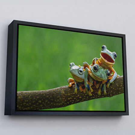 Siyah Çerçeveli Küçük Kurbağalar Dekoratif Kanvas Tablo