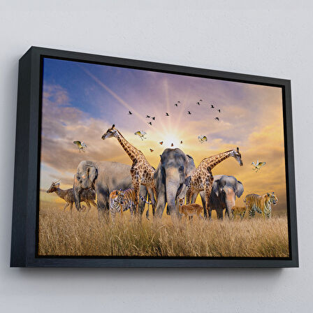 Altın Çerçeveli Hayvanlar Alemi Dekoratif Kanvas Tablo