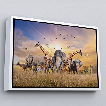 Beyaz Çerçeveli Hayvanlar Alemi Dekoratif Kanvas Tablo