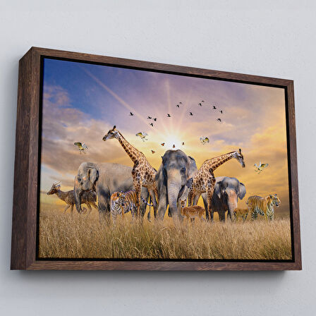 Beyaz Çerçeveli Hayvanlar Alemi Dekoratif Kanvas Tablo