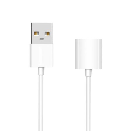 Ally Apple Pencil/kalem İçin Usb Şarj Kablosu 1 metre-(5775)