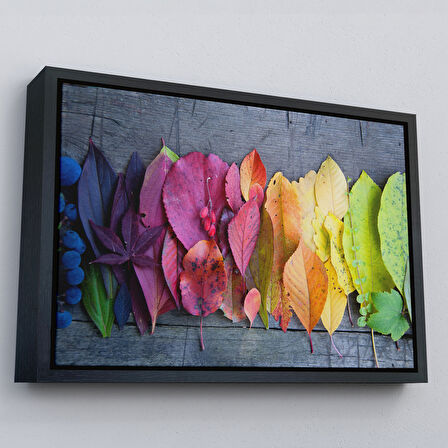 Siyah Çerçeveli Sonbahar Yaprakları Dekoratif Kanvas Duvar Tablosu