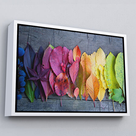 Siyah Çerçeveli Sonbahar Yaprakları Dekoratif Kanvas Duvar Tablosu