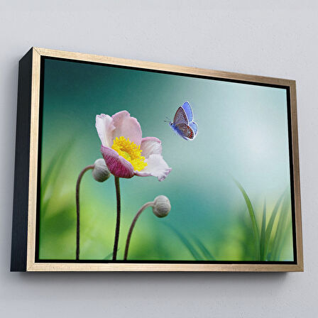 Beyaz Çerçeveli Zarif Çiçek ve Kelebek Dekoratif Kanvas Duvar Tablosu