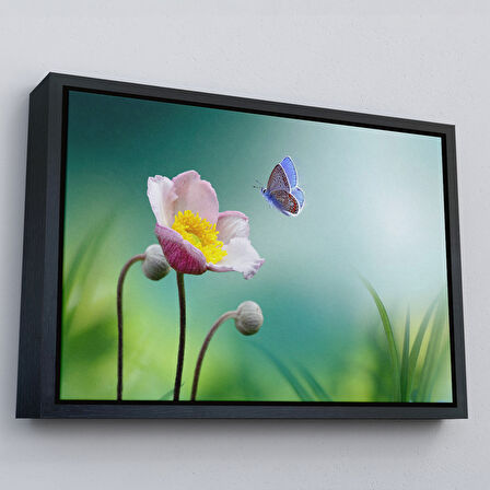 Beyaz Çerçeveli Zarif Çiçek ve Kelebek Dekoratif Kanvas Duvar Tablosu