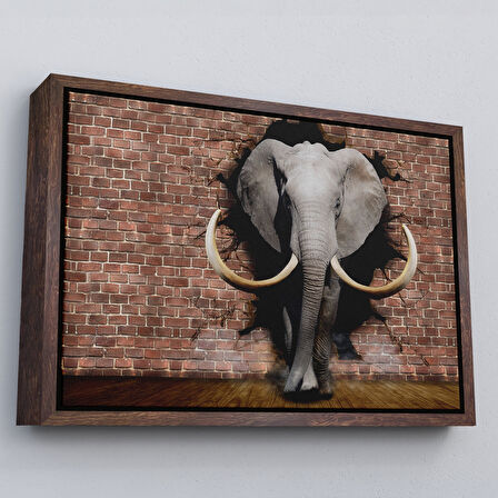 Siyah Çerçeveli Duvardan Çıkan Fil Dekoratif Kanvas Duvar Tablosu