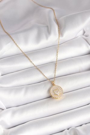 316L Çelik Gold Renk Zincir Madalyon Zirkon Taşlı Kalp Model Kadın Kolye 5886