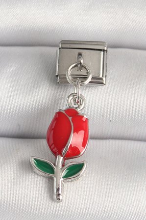 316L Çelik Gümüş Renk Kırmızı Gül Model Nomination Charm 5886