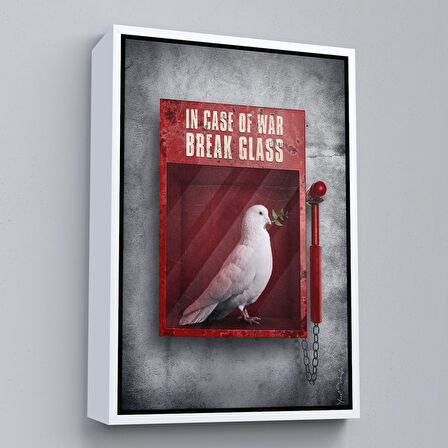 Siyah Çerçeveli Savaş Durumunda Camı Kır Güvercin Kanvas Tablo