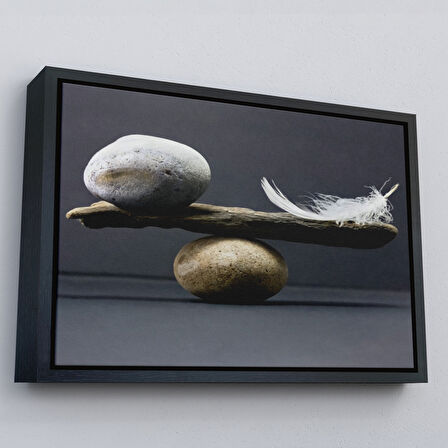 Altın Çerçeveli Taş ve Tüy Dengesi Tuval Duvar Sanatı, Tuval Baskı Ev ​​Dekorasyon, Ofis Dekorasyon