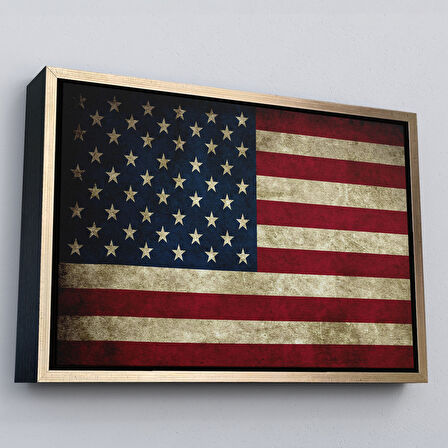 Kahverengi Çerçeveli Amerika Birleşik Devletleri Bayrağı Rustik Kanvas Tablo