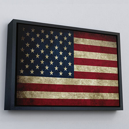 Kahverengi Çerçeveli Amerika Birleşik Devletleri Bayrağı Rustik Kanvas Tablo