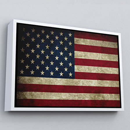 Kahverengi Çerçeveli Amerika Birleşik Devletleri Bayrağı Rustik Kanvas Tablo