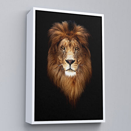 Siyah Çerçeveli Aslan Dekoratif Kanvas Tablo