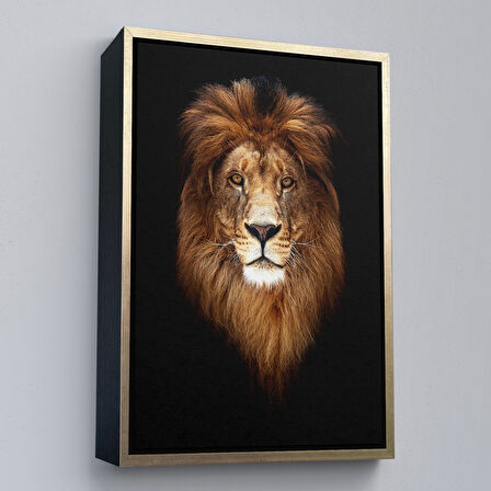 Siyah Çerçeveli Aslan Dekoratif Kanvas Tablo
