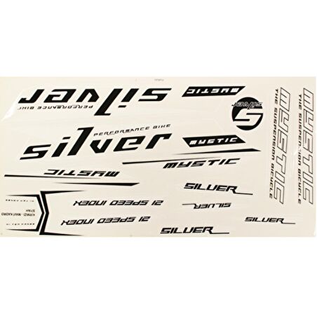 Hsgl Bisiklet Etiket Beyaz Sılver MYSTIC 24/26 Jant Bisiklet Aksesuar