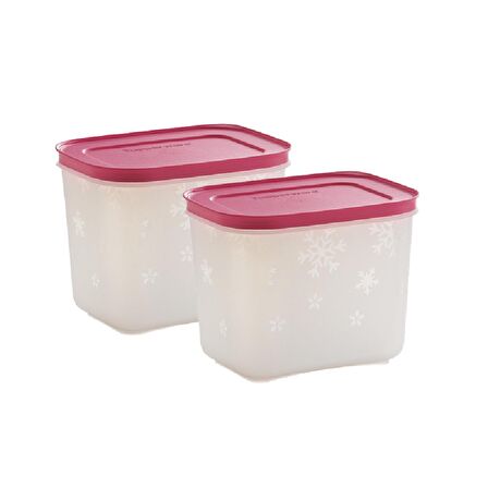 Tupperware ALASKA SET 2 x 1.1 Lt Buzluk dondurucu Saklama Kabı HSGL