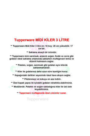 Kiler Midi Yeşil Patates Soğan Saklama Kabı 3 lt